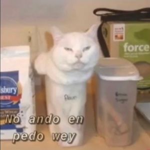 Meet your Posher, Miguel